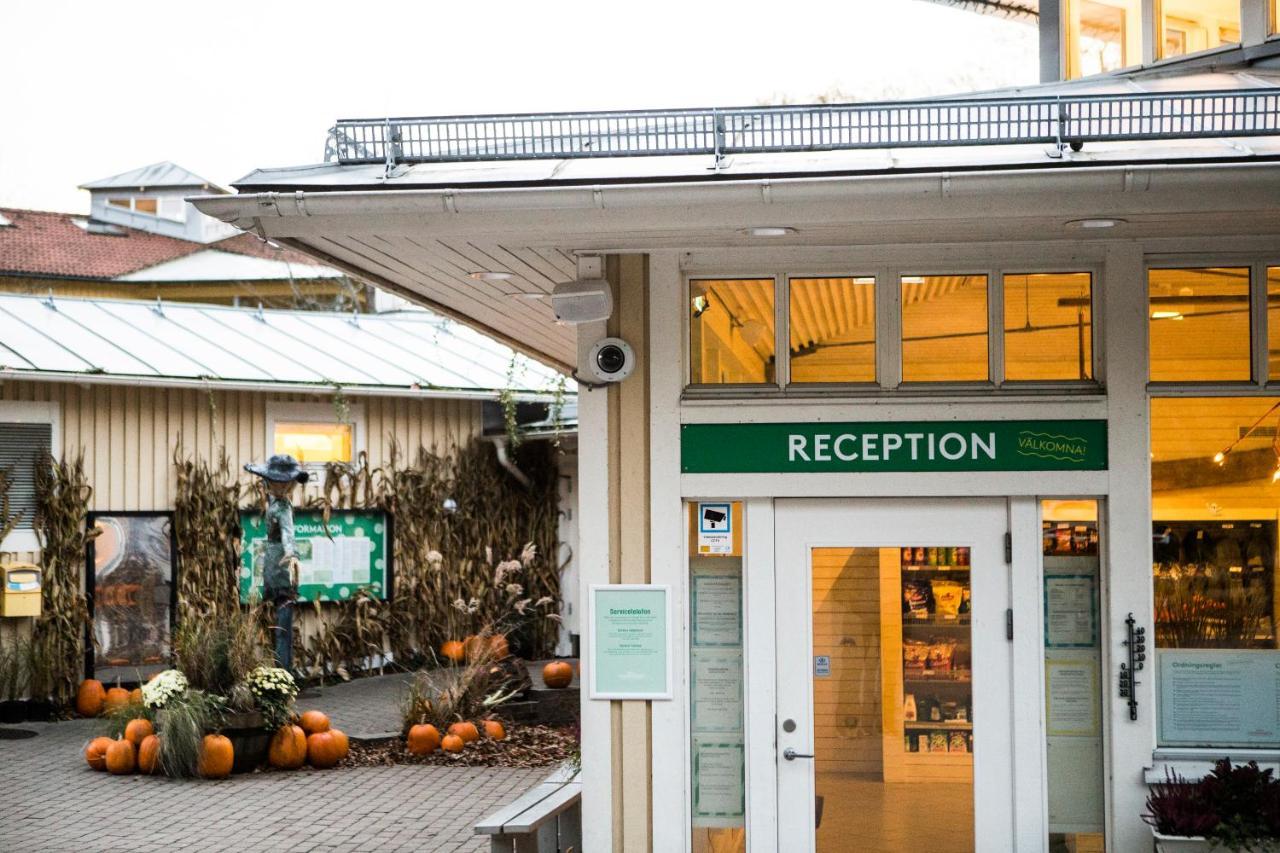 Lisebergsbyns Vandrarhem Göteborg Exteriör bild
